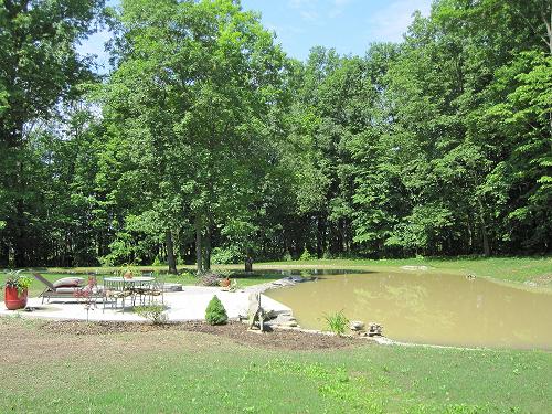 Attached picture pond 6-11-11.jpg